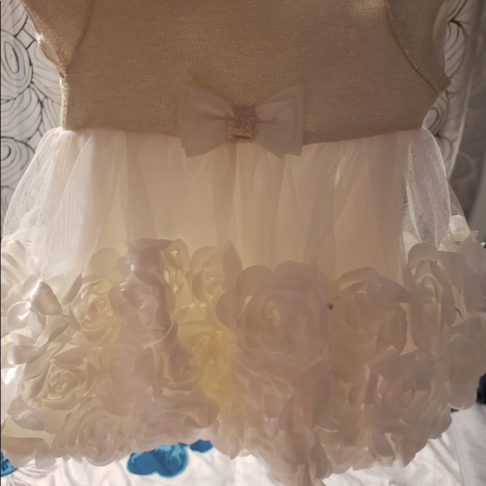 Dress’s 3-6 months